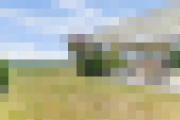 Cederlaan 1 Kamperland thumbnail 41