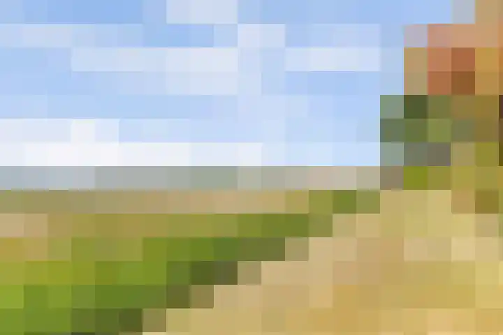 Cederlaan 1 Kamperland thumbnail 42