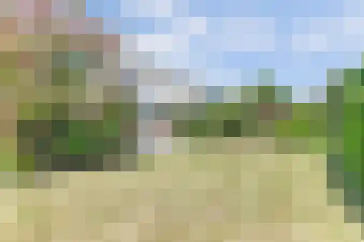 Cederlaan 1 Kamperland thumbnail 43