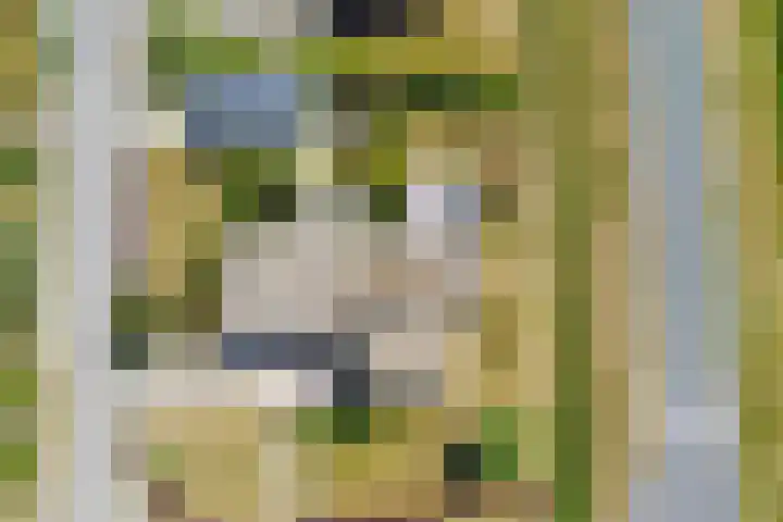 Cederlaan 1 Kamperland thumbnail 46