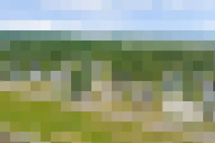 Cederlaan 1 Kamperland thumbnail 47