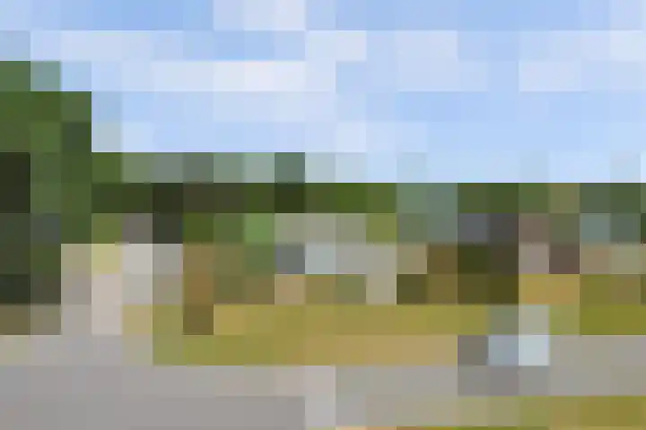 Cederlaan 1 Kamperland thumbnail 48
