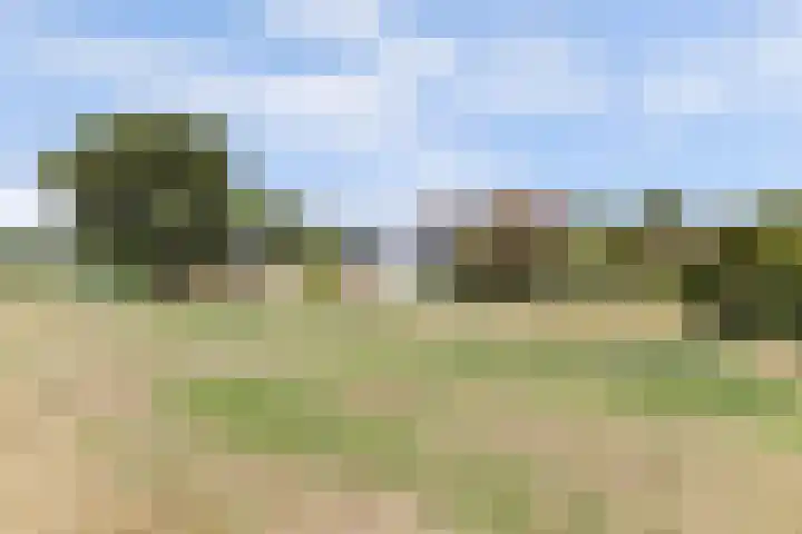 Cederlaan 1 Kamperland thumbnail 5