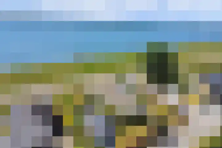 Cederlaan 1 Kamperland thumbnail 50