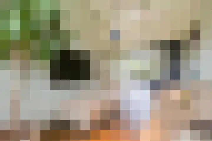 Cederlaan 1 Veenendaal thumbnail 10
