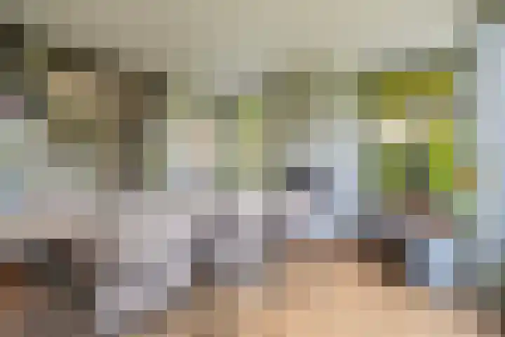 Cederlaan 1 Veenendaal thumbnail 14