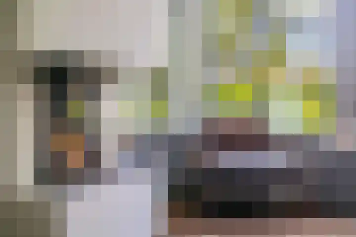 Cederlaan 1 Veenendaal thumbnail 15