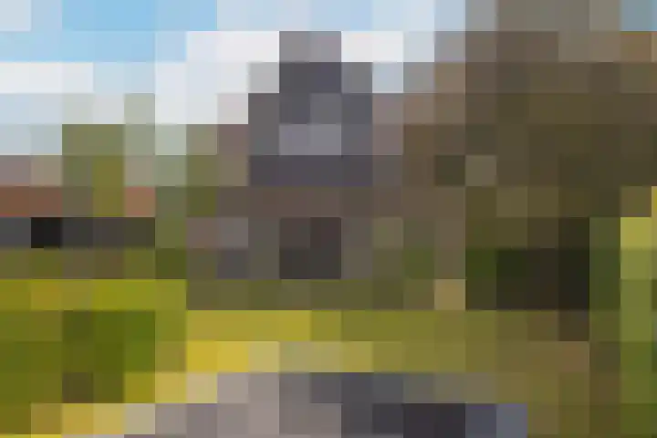 Cederlaan 1 Veenendaal foto 2