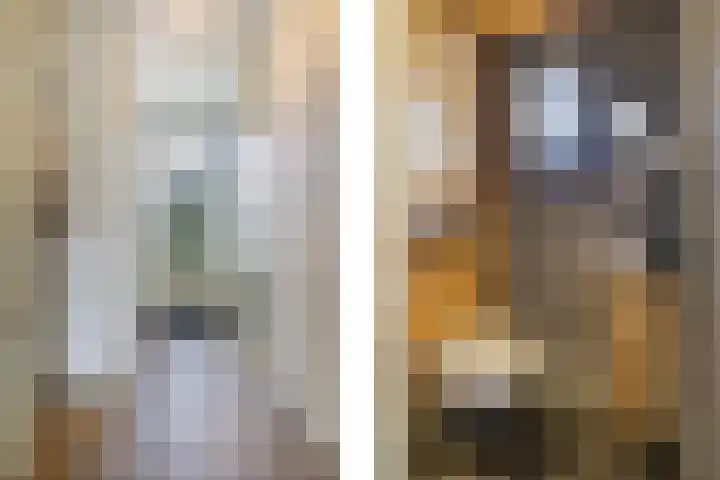 Cederlaan 1 Veenendaal thumbnail 22