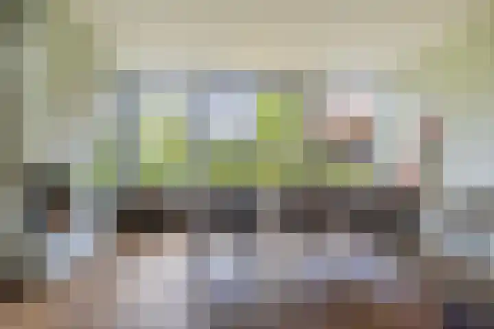 Cederlaan 1 Veenendaal foto 3