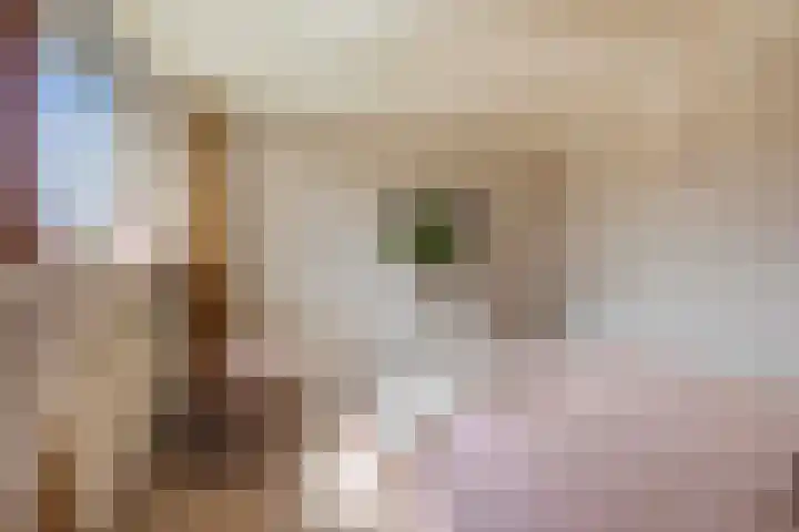 Cederlaan 1 Veenendaal thumbnail 31