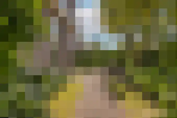 Cederlaan 1 Veenendaal thumbnail 37