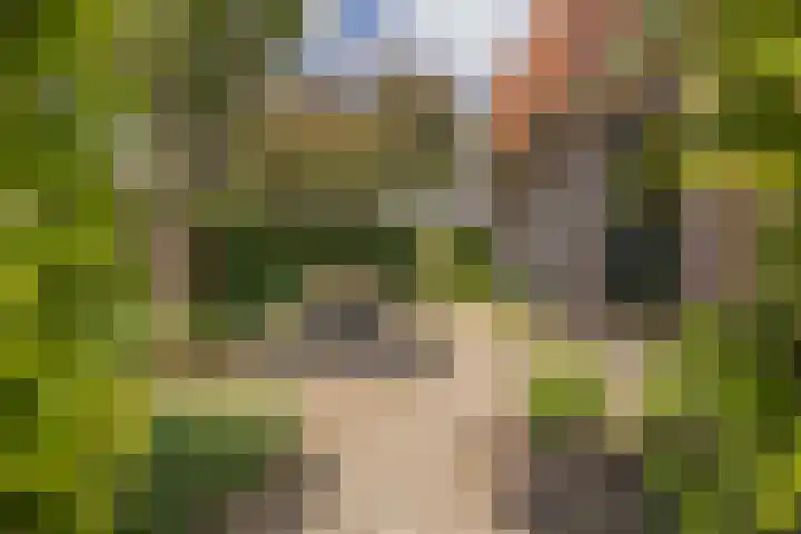 Cederlaan 1 Veenendaal thumbnail 38