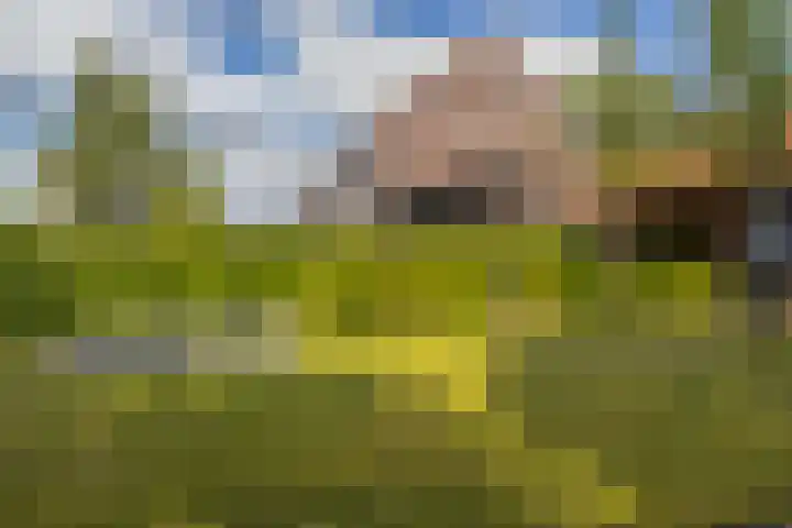 Cederlaan 1 Veenendaal thumbnail 39