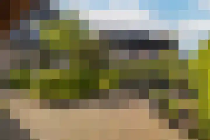 Cederlaan 1 Veenendaal thumbnail 41