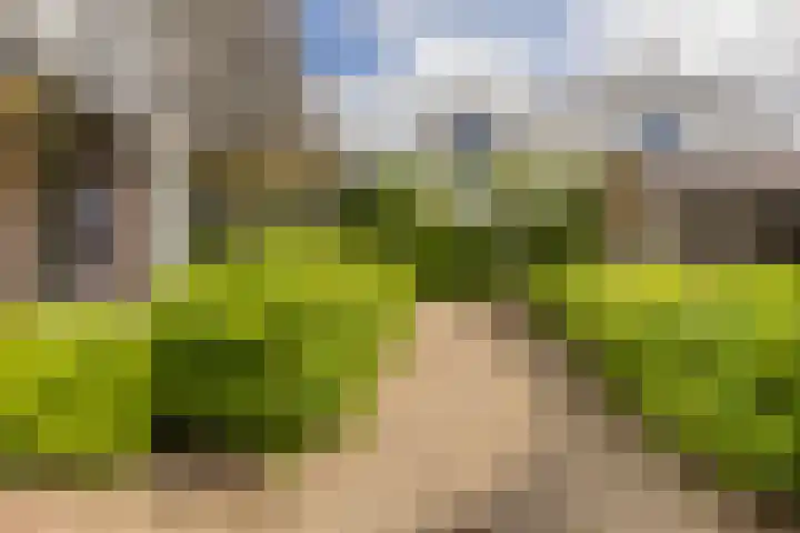 Cederlaan 1 Veenendaal thumbnail 46