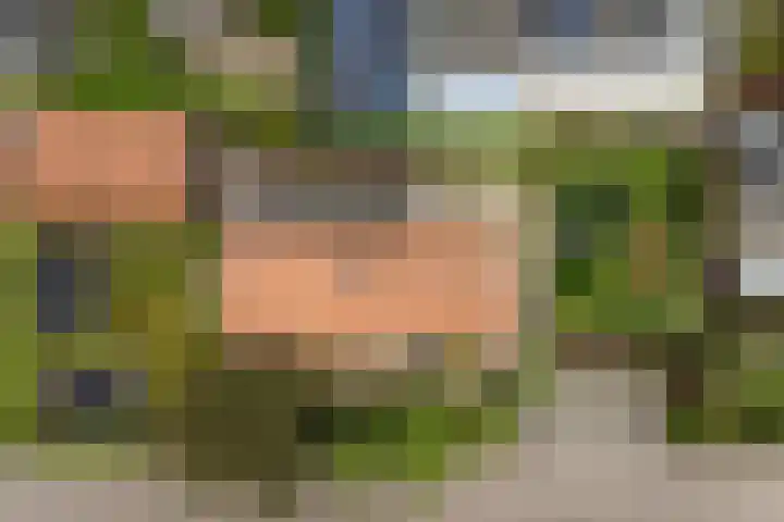 Cederlaan 1 Veenendaal thumbnail 48