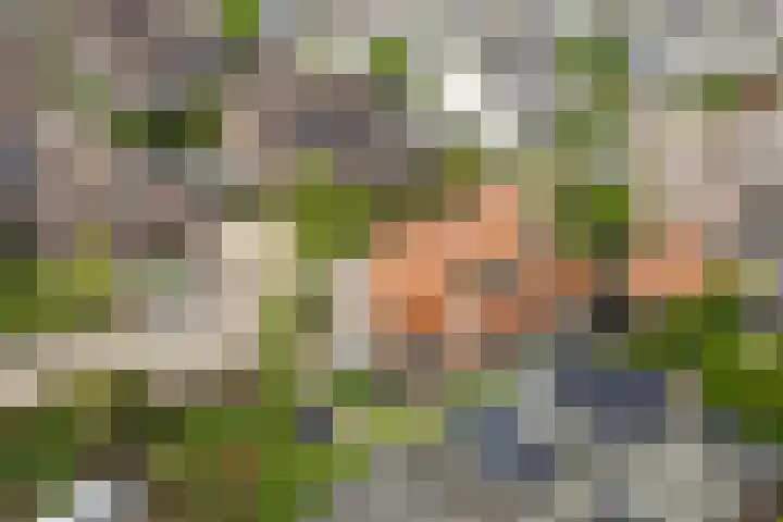 Cederlaan 1 Veenendaal thumbnail 49