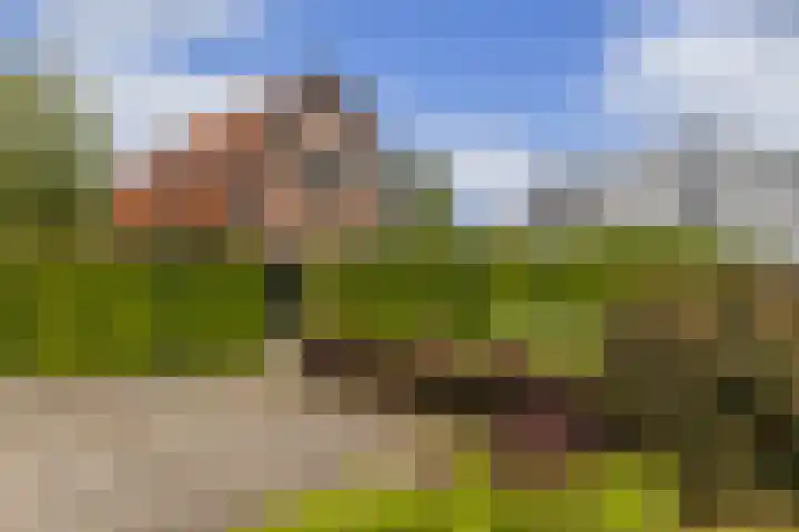 Cederlaan 1 Veenendaal thumbnail 5