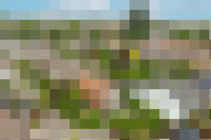 Cederlaan 1 Veenendaal thumbnail 50