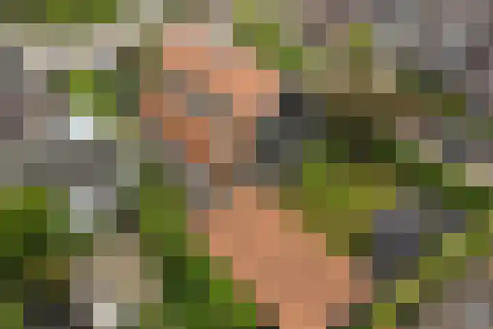 Cederlaan 1 Veenendaal thumbnail 51