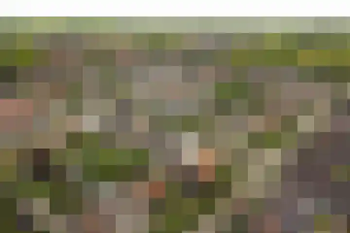 Cederlaan 1 Veenendaal thumbnail 52