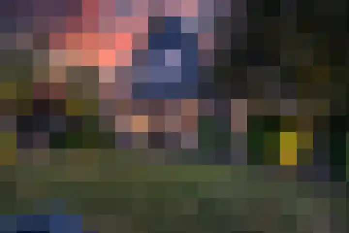 Cederlaan 1 Veenendaal thumbnail 53