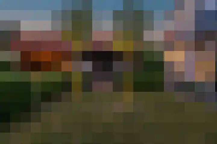 Cederlaan 1 Veenendaal thumbnail 55