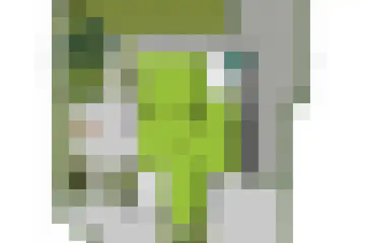 Cederlaan 1 Veenendaal thumbnail 62