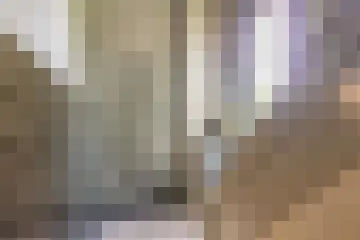 Cederlaan 1 Veenendaal thumbnail 7