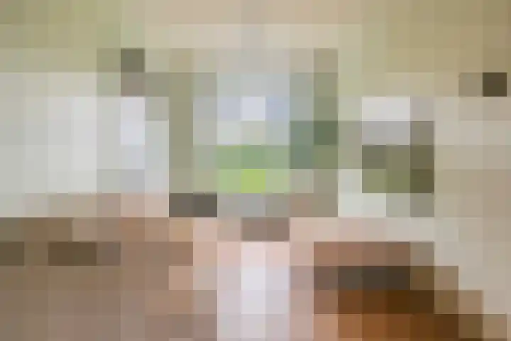 Cederlaan 1 Veenendaal thumbnail 9