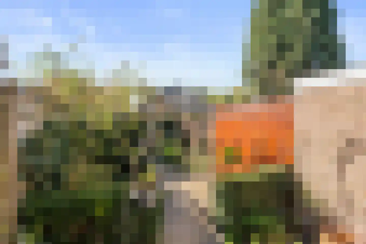 Cederlaan 12 Bennekom thumbnail 12