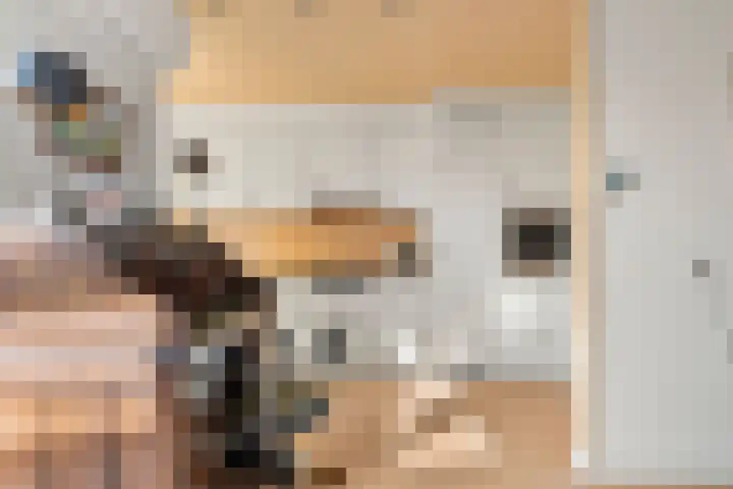 Cederlaan 12 Bennekom thumbnail 27