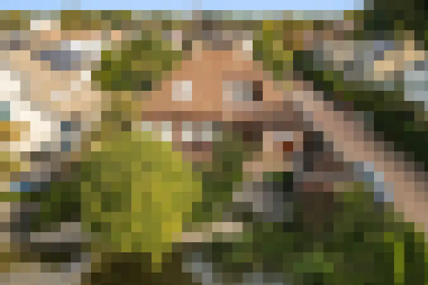 Cederlaan 13 Dordrecht thumbnail 12