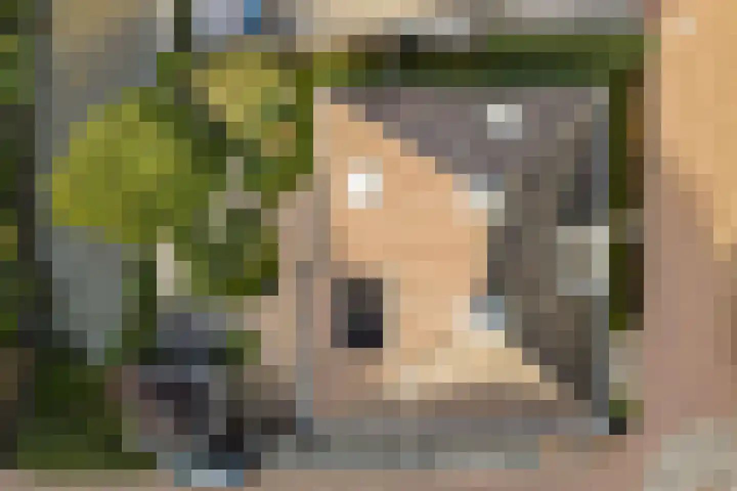 Cederlaan 13 Dordrecht thumbnail 52