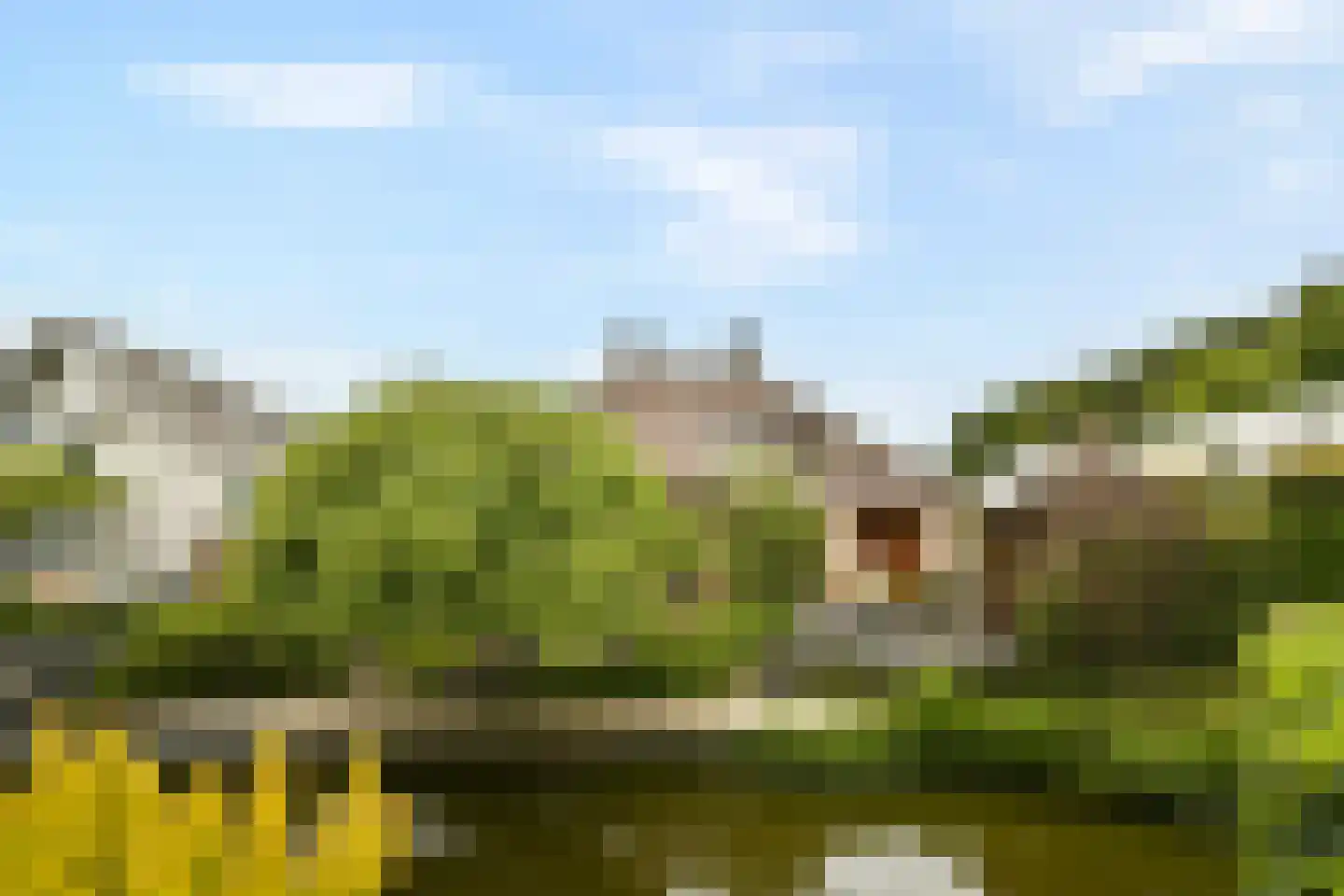 Cederlaan 13 Dordrecht thumbnail 7