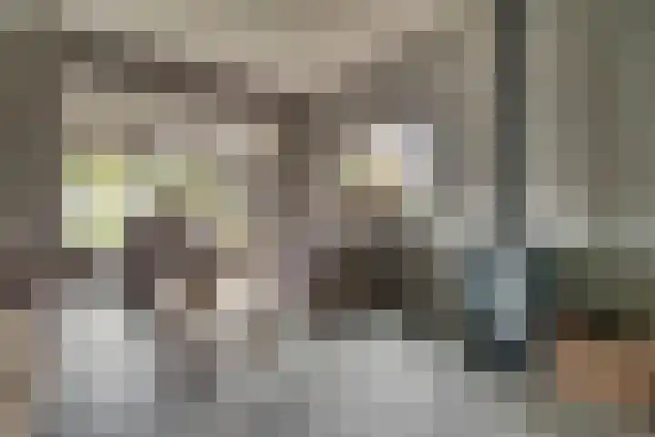 Cederlaan 13 Veenendaal thumbnail 13