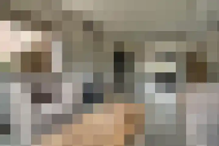 Cederlaan 13 Veenendaal thumbnail 16