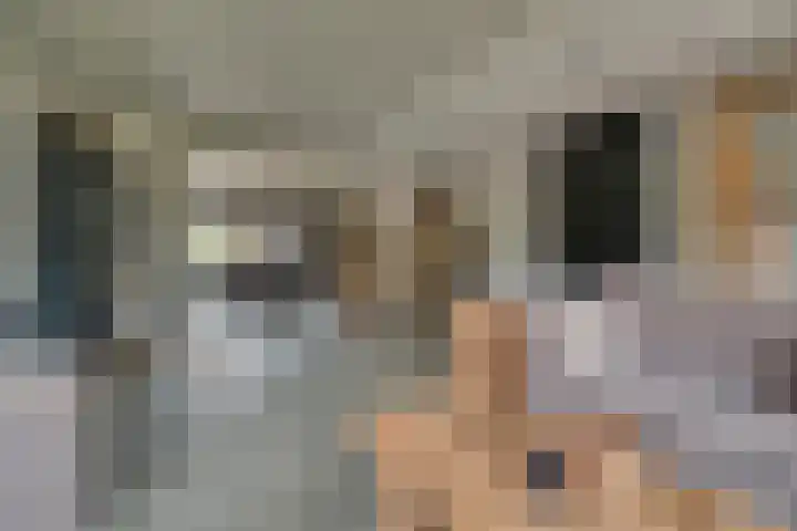 Cederlaan 13 Veenendaal thumbnail 17