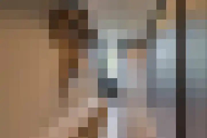 Cederlaan 13 Veenendaal thumbnail 22