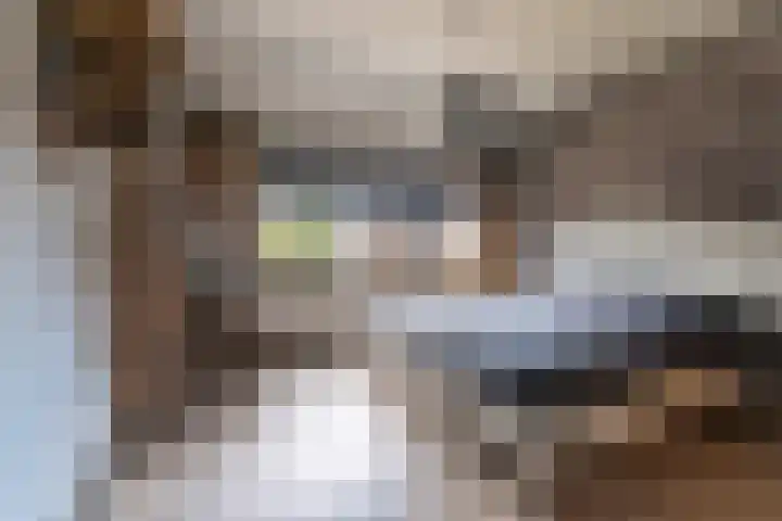 Cederlaan 13 Veenendaal thumbnail 25