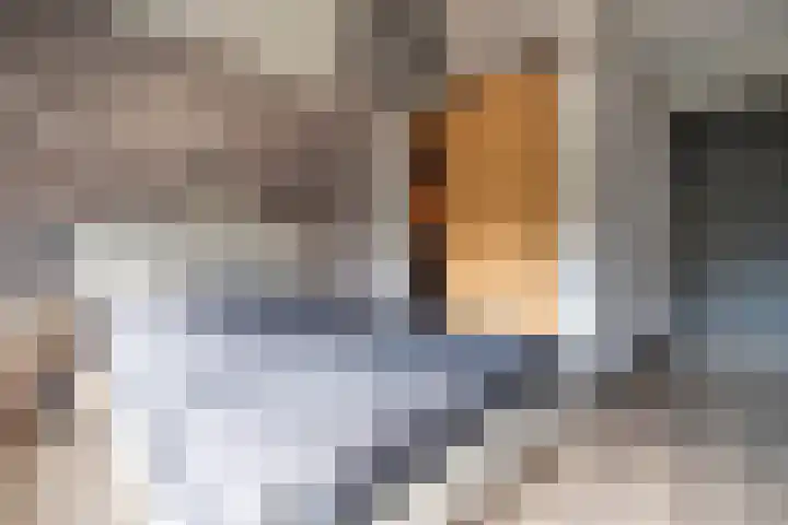 Cederlaan 13 Veenendaal thumbnail 27