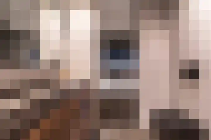 Cederlaan 13 Veenendaal thumbnail 31