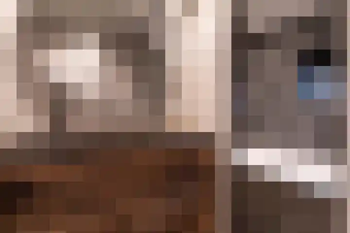 Cederlaan 13 Veenendaal thumbnail 32