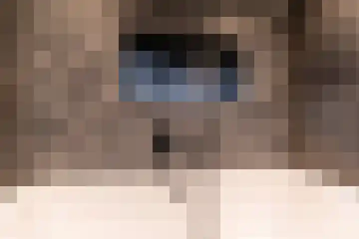 Cederlaan 13 Veenendaal thumbnail 34