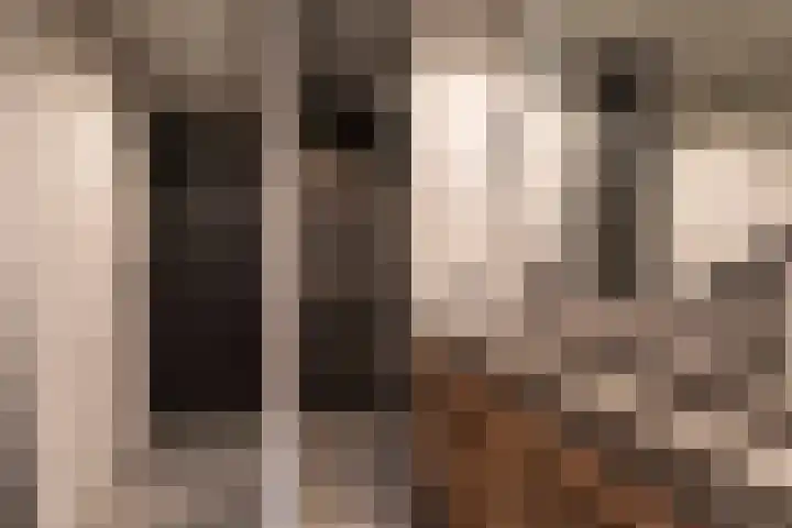 Cederlaan 13 Veenendaal thumbnail 35