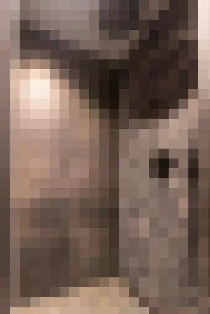 Cederlaan 13 Veenendaal thumbnail 36