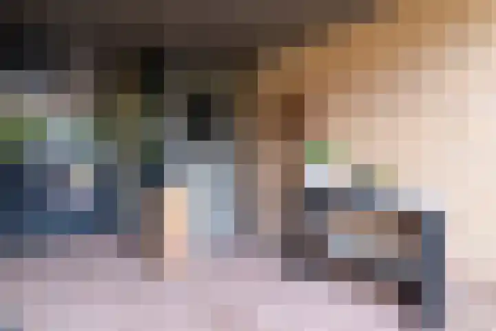 Cederlaan 13 Veenendaal thumbnail 5