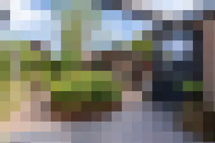 Cederlaan 13 Veenendaal thumbnail 50