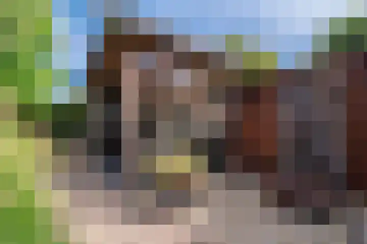 Cederlaan 13 Veenendaal thumbnail 51